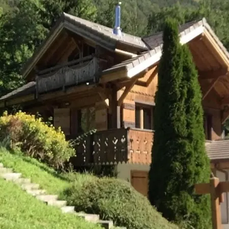 8 Person With Hot Tub In Portes Du Soleil Montriond
