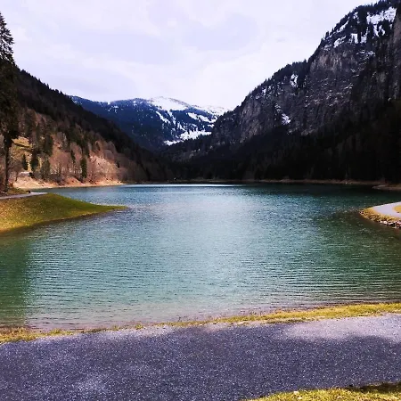 8 Person With Hot Tub In Portes Du Soleil Chalet *